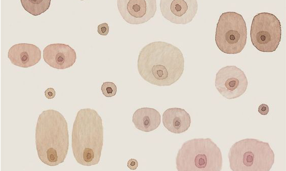 Pontos importantes para você saber sobre amamentação